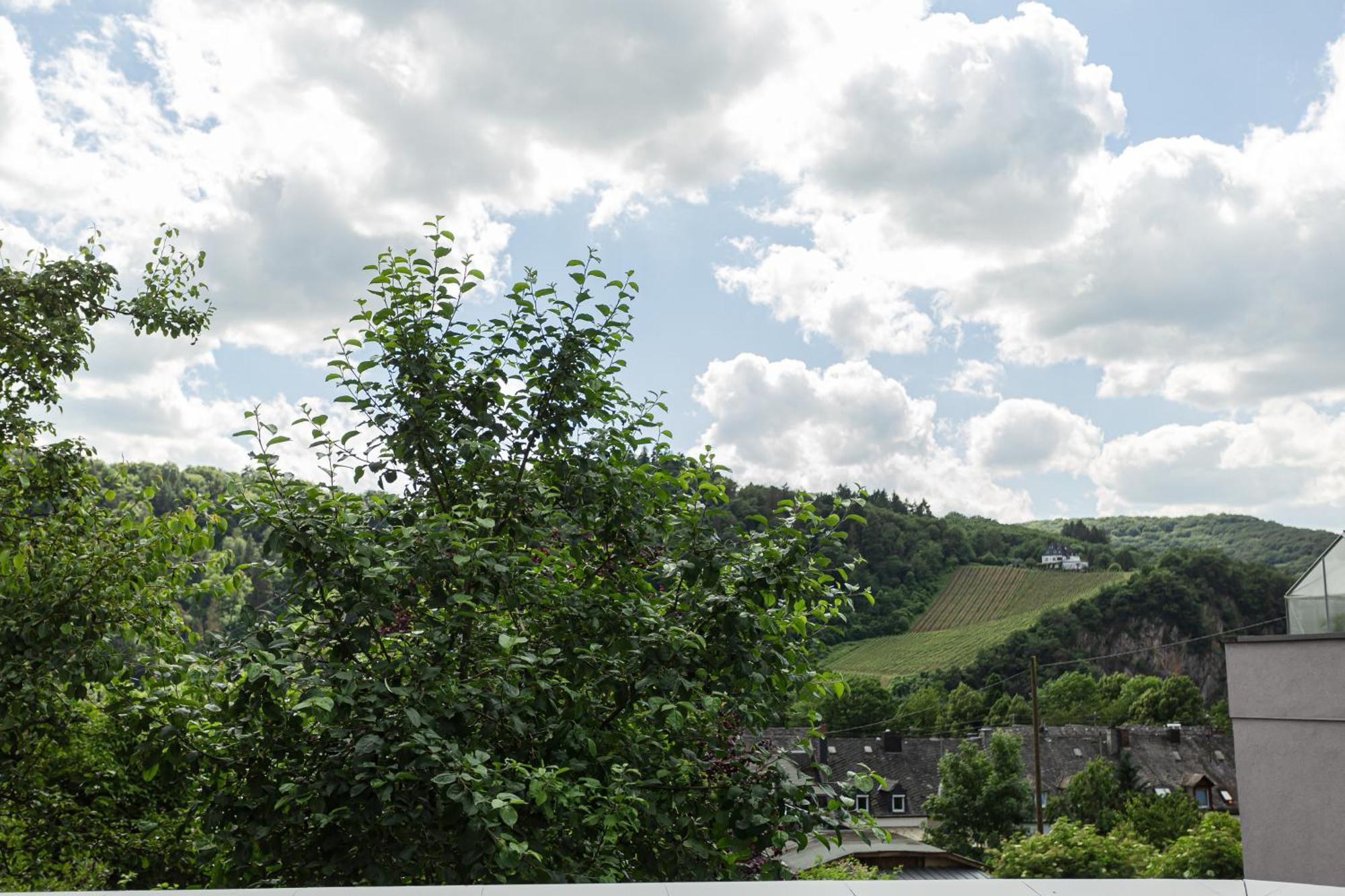 Luxusferienwohnung Moselruhe Bullay Mit Grosser Terrasse Und Schoenem Ausblick ภายนอก รูปภาพ